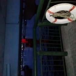 バチ抜けのつもりがキビレ